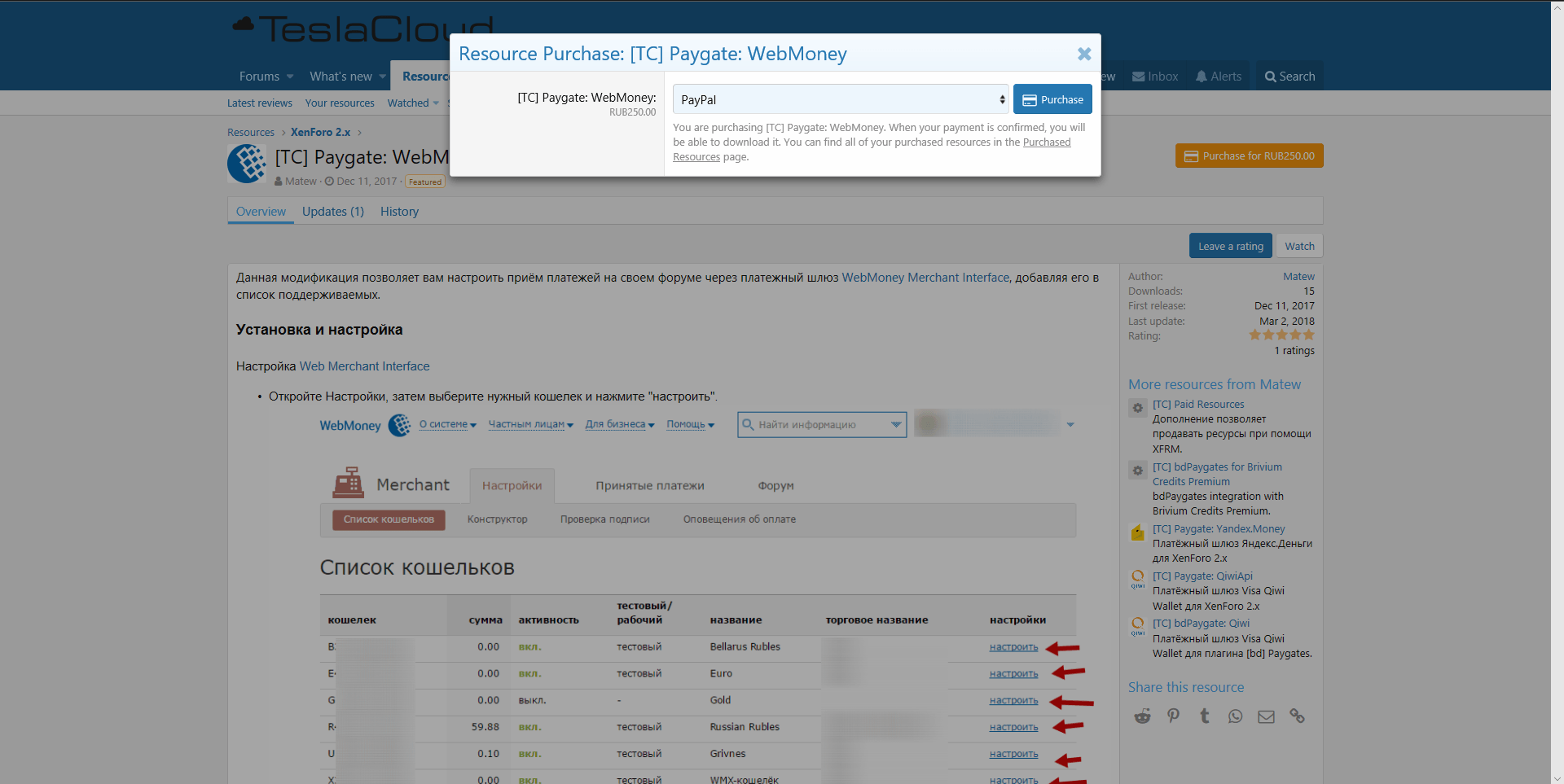 Resource '[TC] Paid Resources'